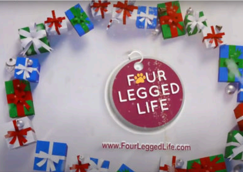 Four Legged Life
